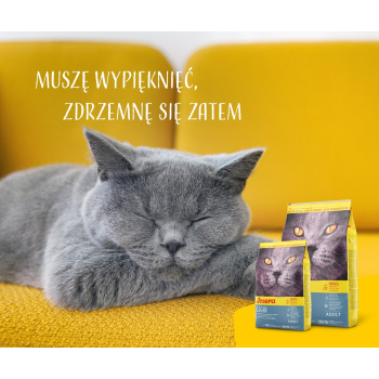 action/W7Z5Y570r050F1J783P8w1w9B2E4V127.png