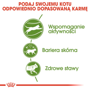 action/W8B9Q9f9Z0M0n1R7Q3n3f4v045L0d8l8.jpg