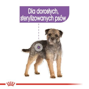 action/W8N8N8T6D0p0z10782C1d9T9u2i9v276.jpg