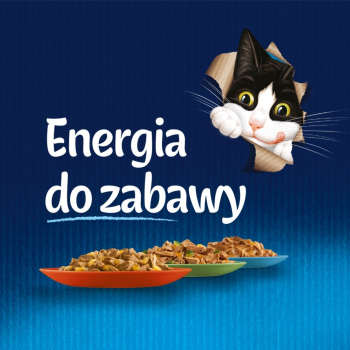 action/X0E6f4s0l000n1C7m7q8b2s3g8f098X2.jpg