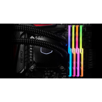 action/Y1Y1w1W3V0y0k1H7349041N8B3X4y5o3.jpg