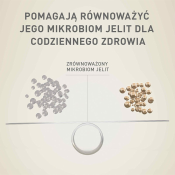 action/Y4W820P9Y0m0y117P4d9m6B3v4O519S9.jpg