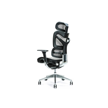 Ergonomiczny fotel biurowy ERGO 700 szary