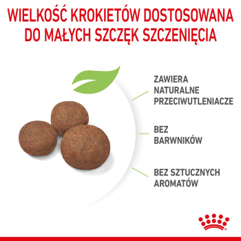 action/Z2K3V1k9R0d0H1o7c3p2x0R2z5B8F4P6.jpg