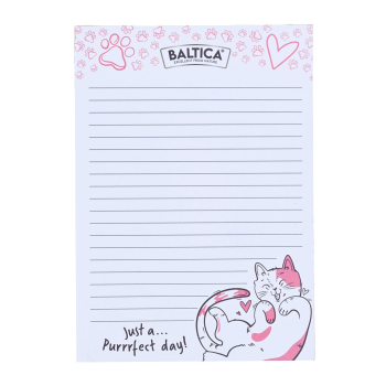 BALTICA Notes