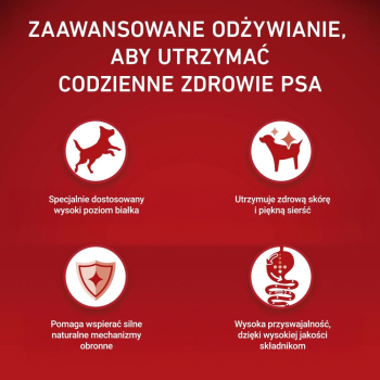 action/Z3A7p4L3V0K0H1t7N7N3n6f7H7m2m8M5.jpg
