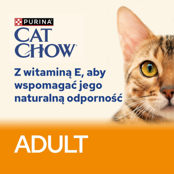 action/Z4I0u1c1c0A01117T4l229R4z1Y108w7.jpg