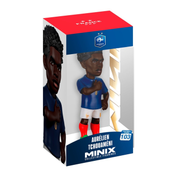 MINIX FRANCE - AURELIEN TCHOUAMENI