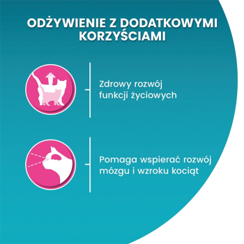 action/Z6S2v8i0c0R0J167E5D4x0j686q6t939.jpg