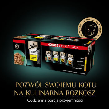 action/Z7Y1d3n8o0Q0O157Q2L0m1i0T0j4S8Q1.jpg