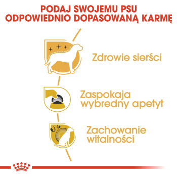 action/Z8H6F443P0P05147B2B7E2U7U062D440.jpg
