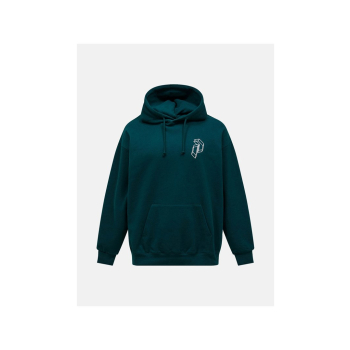 Bluza mÄ™ska PEAK PERFORMANCE M Terry Graphic Hood kolor zielony - M