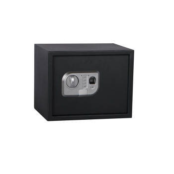 SAFE SP-25ELG 350X250X250