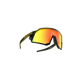 Okulary sportowe DYNAFIT sky evo-winter moss-dawn