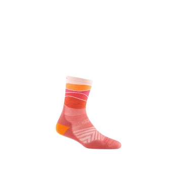 Skarpetki damskie Darn Tough Horizon Micro Crew Ultra-Lightweight with Cushion - canyon rozmiar: s
