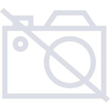 action/img_e2ce19b606b8fcb9e56667ff25c70e6f.jpg