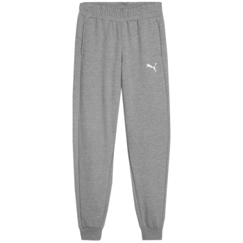 Spodnie dla dzieci Puma Team Goal szare 658601 33 152cm