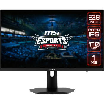 Monitor MSI G244F E2-1