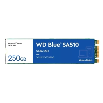 Dysk SSD WD Blue WDS250G3B0B (250 GB ; M.2; SATA III)-1