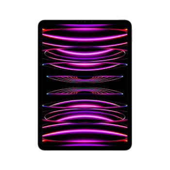 Apple 11-inch iPad Pro (4 gen.) Wi-Fi 2TB Space Grey-1