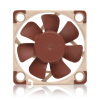 Wentylator NOCTUA 40mm 5V PWM (1000-5000 RPM)-3