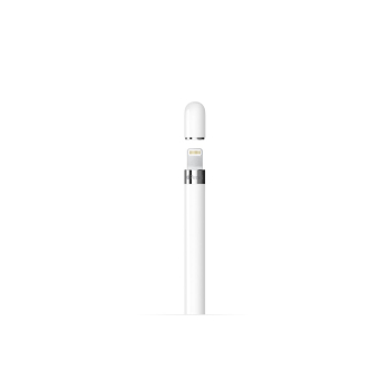 Apple Pencil 1st Gen. + USB-C Adapter (2022)-3