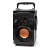 SQUEAK GŁOŚNIK BASSBLASTER BLUETOOTH 5.1, RADIO FM, ODTWARZACZ MP3 SQ1001-2