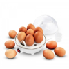 Jajowar elektryczna Esperanza EGG MASTER EKE001