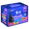 BRIT Cat Pouches Family Plate - mokra karma dla kota - 12 x 100g