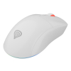 GENESIS Zircon XIII myszka Gaming Oburęczny RF Wireless + USB Type-C Optyczny 26000 DPI
