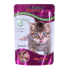 CERTECH Super Benek Junior saszetka dla kota z kawałkami indyka w sosie 100g