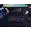 Klawiatura gamingowa TRUST GXT833 THADO TKL US