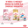Royal Canin FHN Kitten Instinctive w galaretce - mokra karma dla kociąt - 12x85g