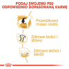ROYAL CANIN BHN Labrador Retriever Adult - sucha karma dla psa dorosłego - 12 kg