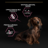 PURINA PRO PLAN SMALL & MINI ADULT Łosoś 700g