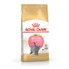 Royal Canin FBN British Shorthair Kitten - sucha karma dla kociąt - 2 kg