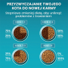 PURINA One Bifensis Senior 7+ Bogata w Kurczaka i Pełne Ziarna - sucha karma dla kota - 800 g
