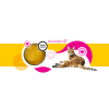 3Coty CHICKEN Cheers! Complementary feed for cats 75g