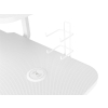 Biurko gamingowe Genesis Holm 320 RGB