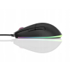 Endgame Gear XM1 RGB myszka Gaming Po prawej stronie USB Typu-A Optyczny 16000 DPI