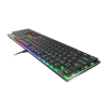 GENESIS Thor 420 RGB klawiatura Gaming USB AZERTY US English Srebrny