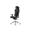 Ergonomiczny fotel biurowy ERGO 700 czarny