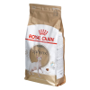 ROYAL CANIN FBN Sphynx Adult - sucha karma dla dorosłego kota - 2kg