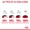 ROYAL CANIN FCN Urinary Care w sosie - mokra karma dla kota dorosłego - 12x85g