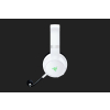 Razer Kaira Pro Headset