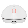 GENESIS Zircon XIII myszka Gaming Oburęczny RF Wireless + USB Type-C Optyczny 26000 DPI