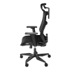 Fotel ergonomiczny Genesis Astat 700 G2 Czarny