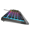 Klawiatura Gaming GENESIS RHOD 300 RGB Czarna USB