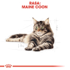 ROYAL CANIN FBN Maine Coon - mokra karma dla dorosłego kota - 12x85g