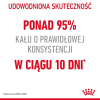 ROYAL CANIN FCN Digestive Care - sucha karma dla kota dorosłego - 10 kg